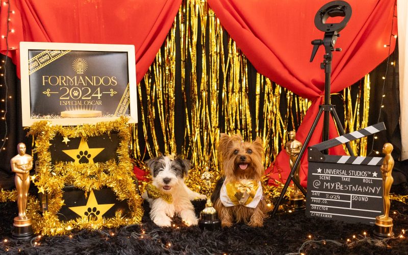 Hotel e Day Care “My Best Nanny” realiza ensaio de formandos com seus alunos pets