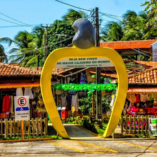 Parque das Dunas e Cajueiro de Pirangi divulgam horário de funcionamento durante o Carnaval