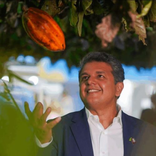 Conheça o empresário brasileiro que ajudou a tornar o cacau, uma potência econômica e turística