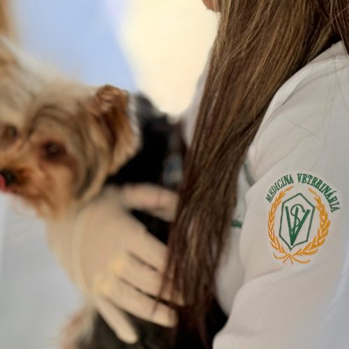 Centro Médico Veterinário da UnP realiza campanha de saúde e ação solidária em Mossoró