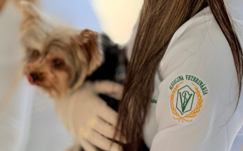 Centro Médico Veterinário da UnP realiza campanha de saúde e ação solidária em Mossoró