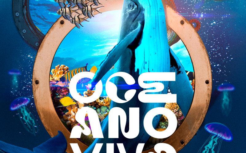 Inédita em Natal: Shopping Midway Mall recebe exposição imersiva “Oceano Vivo”