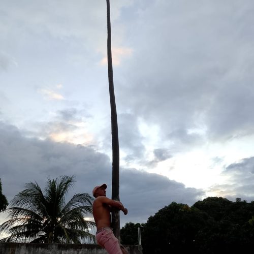 Pau de Sebo da Princesa segue até o dia 30 de junho na cidade de Assú