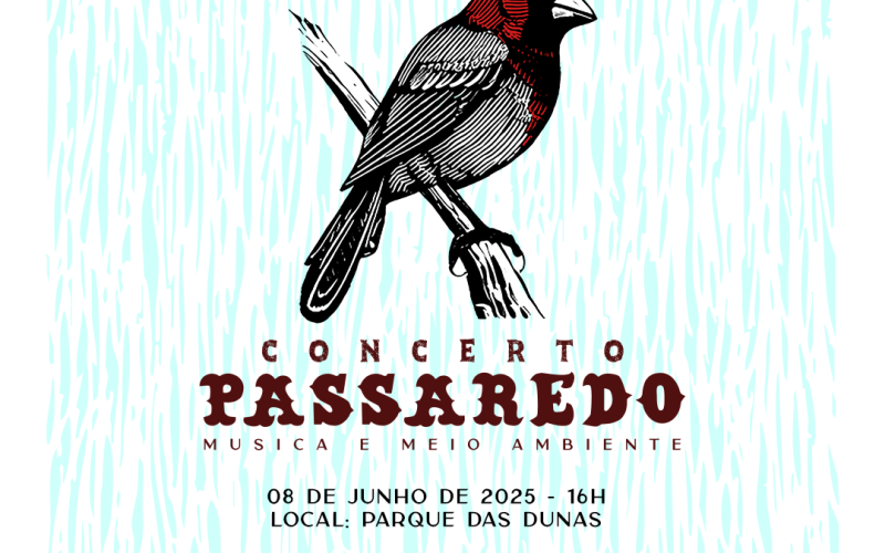 Concerto Passaredo sobe ao palco da Escola de Música da UFRN e no Parque das Dunas