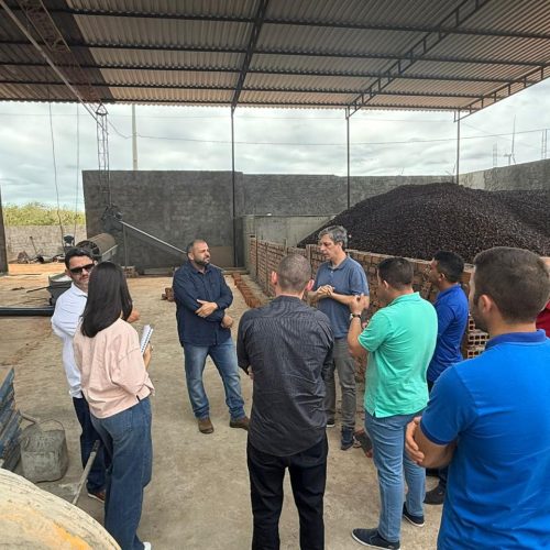 Serra do Mel pode firmar parceria para reaproveitamento da poda do caju e subprodutos
