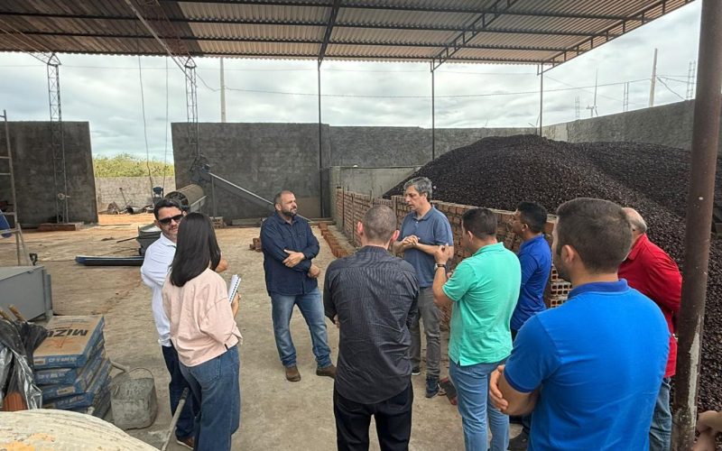 Serra do Mel pode firmar parceria para reaproveitamento da poda do caju e subprodutos