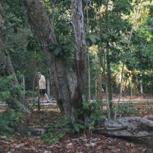 Carteira de Coopista 2025 do Parque das Dunas pode ser solicitada online