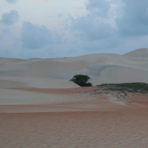 Dunas do Rosado: Idema/RN abre inscrições para renovação do Conselho Gestor da APA