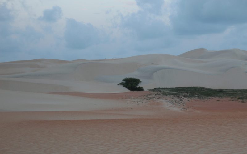 Dunas do Rosado: Idema/RN abre inscrições para renovação do Conselho Gestor da APA
