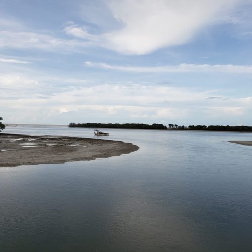 Idema abre inscrições para renovação do Conselho Gestor da RDS Ponta do Tubarão