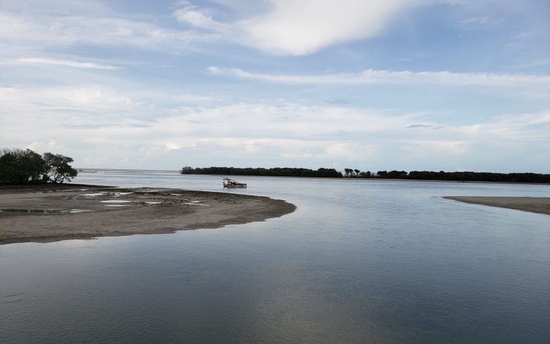 Idema abre inscrições para renovação do Conselho Gestor da RDS Ponta do Tubarão