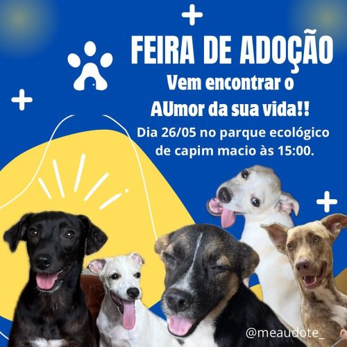 “Me Audote” – Feira de adoção de animais acontece dia 26 de maio em Capim Macio