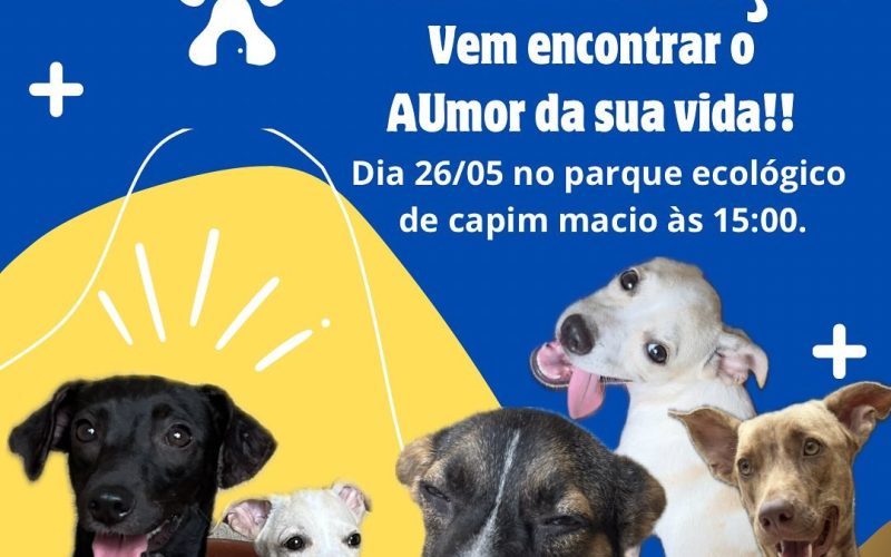 “Me Audote” – Feira de adoção de animais acontece dia 26 de maio em Capim Macio
