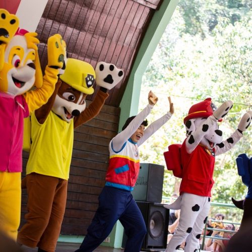 Shopping Cidade Verde recebe pocket show da Patrulha Canina neste domingo