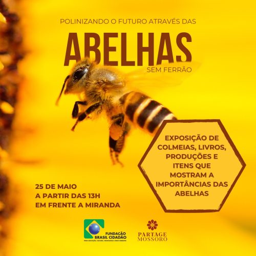 Partage Mossoró recebe nesse sábado (25) exposição sobre a importância das abelhas 🐝
