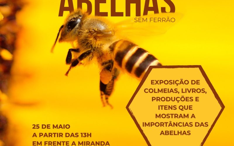 Partage Mossoró recebe nesse sábado (25) exposição sobre a importância das abelhas 🐝