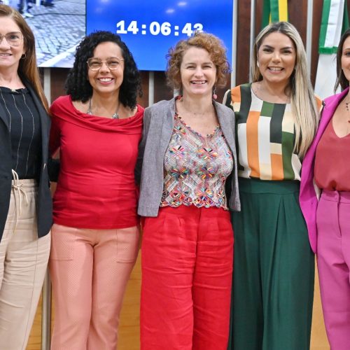 Fortalecimento de Mulheres na Cultura é tema em audiência pública na Assembleia Legislativa