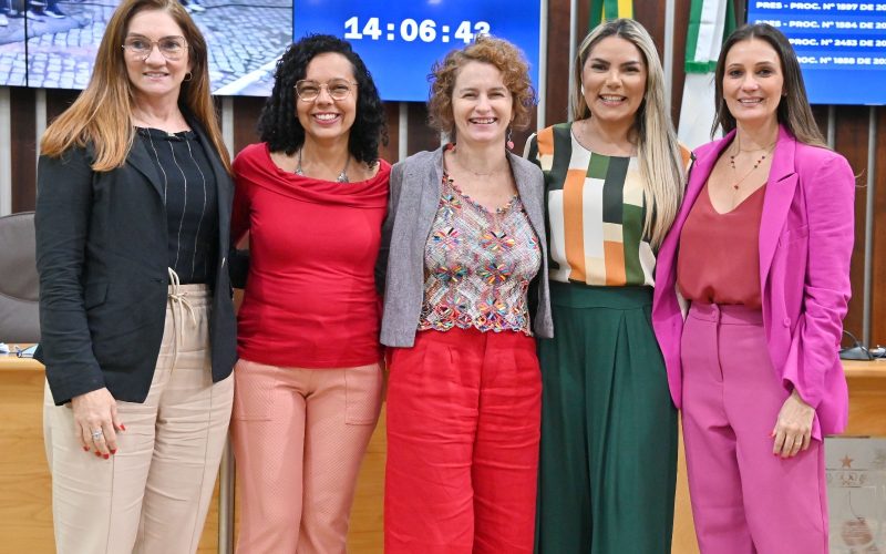 Fortalecimento de Mulheres na Cultura é tema em audiência pública na Assembleia Legislativa