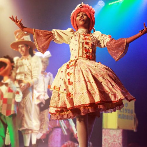 Secretaria de Estado da Cultura conclui repasses da Lei Paulo Gustavo