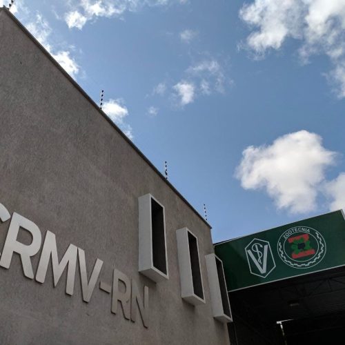CRMV-RN celebra o Dia do Médico-Veterinário com evento e campanha nacional