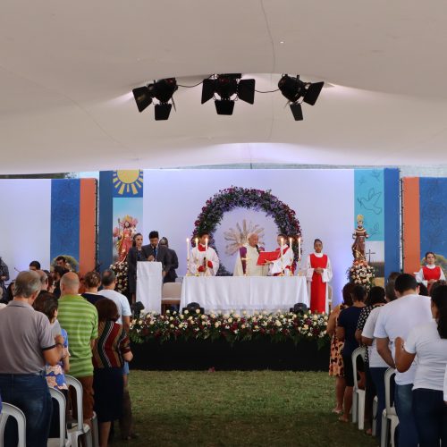 Feira de adoção de pets marca Dia de Finados em cemitério de Natal