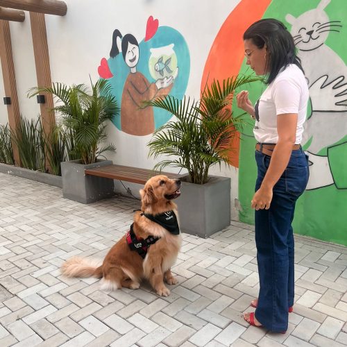 Evento sobre adestramento canino promove aprendizado e conexão entre tutores e pets