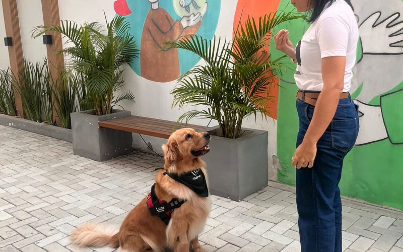 Evento sobre adestramento canino promove aprendizado e conexão entre tutores e pets