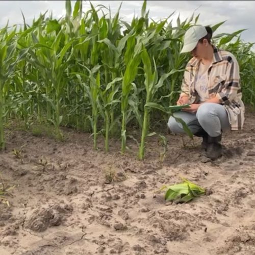 Caixa de Assistência lança campanha para valorização da carreira de engenheiro