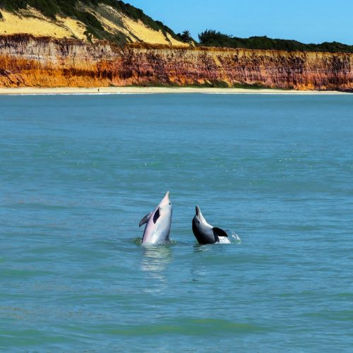 Rio Grande do Norte destaca as belezas de seu litoral na maior feira de turismo do mundo