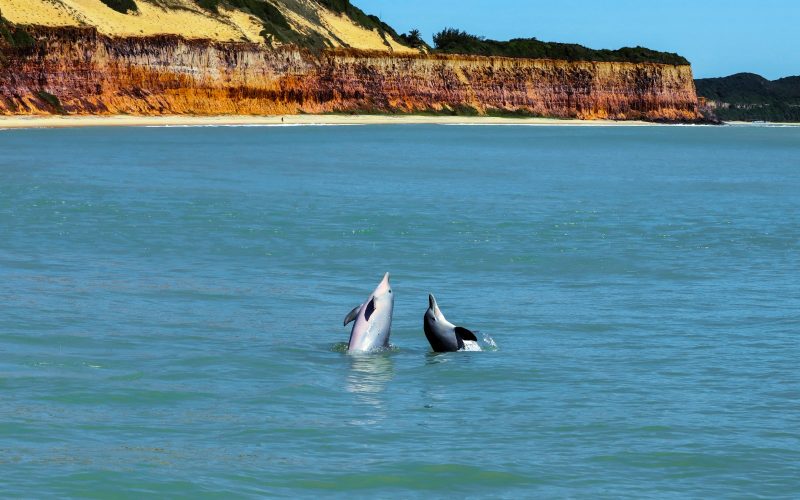 Rio Grande do Norte destaca as belezas de seu litoral na maior feira de turismo do mundo