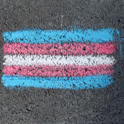 Dia Nacional da Visibilidade Trans: direitos da população transgênero avançam no Brasil