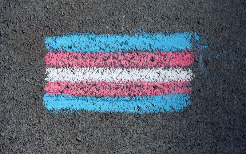 Dia Nacional da Visibilidade Trans: direitos da população transgênero avançam no Brasil