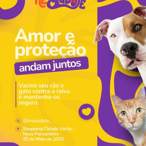 MeAudote: feira de adoção de cães será realizada em Nova Parnamirim