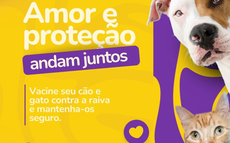 MeAudote: feira de adoção de cães será realizada em Nova Parnamirim