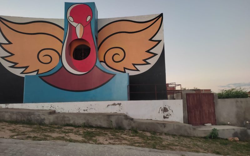 Seridó abre a cortina para a nova onda do Cinema Nacional com o CineAvoante