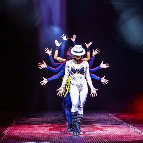 Após 20 anos, Internacional Circo Kroner retorna a Natal com espetáculo emocionante