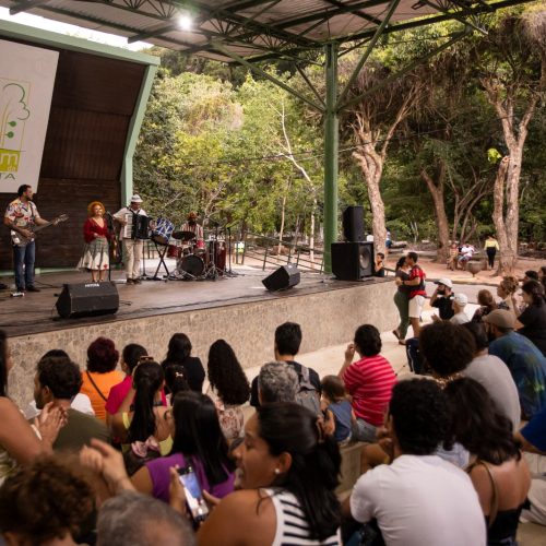 Tiquinha Rodrigues se apresenta neste final de semana no Som da Mata