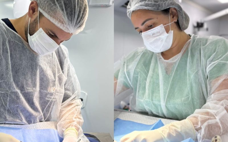 União Pet Brasil celebra 3 anos com uma ação de 3 mil castrações gratuitas em Natal