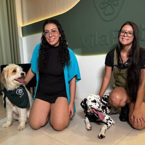 Comunidades caninas ganham espaço e transformam percepção sobre pets no Brasil
