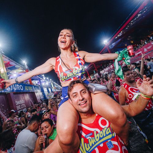 Senado inclui Carnatal no calendário turístico oficial do Brasil; Projeto vai a sanção presidencial