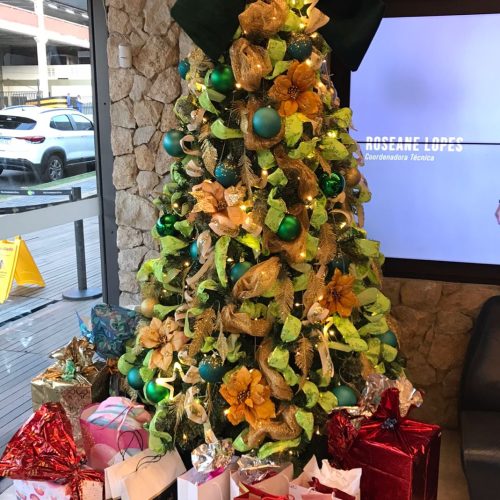 Pulse realiza ação social para o Natal de crianças do GACC