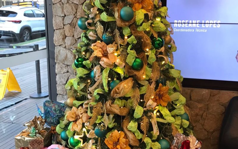 Pulse realiza ação social para o Natal de crianças do GACC