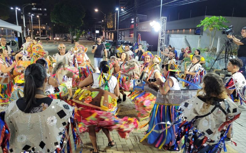“Frevo do Xico e o Reino dos Brincantes” entra em cena no canal da Beju Produções
