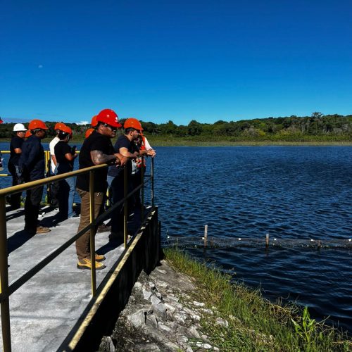 Semana do Meio Ambiente: educação ambiental ganha destaque na programação da Caern