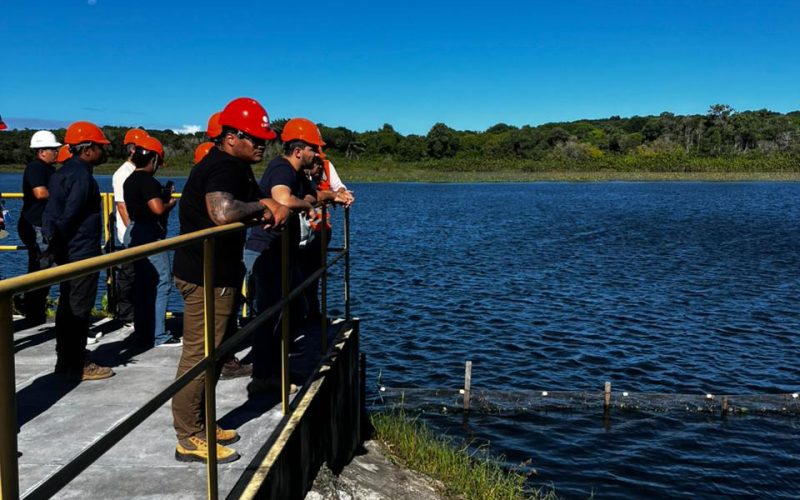 Semana do Meio Ambiente: educação ambiental ganha destaque na programação da Caern