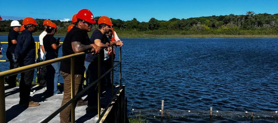 Semana do Meio Ambiente: educação ambiental ganha destaque na programação da Caern