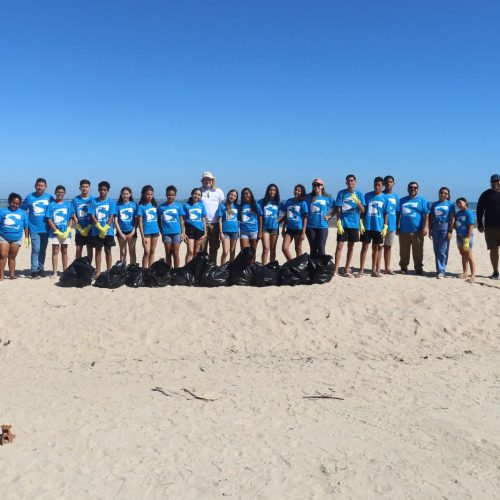 Projeto Vale Sustentável celebra o Dia Mundial do Meio Ambiente com ações no RN