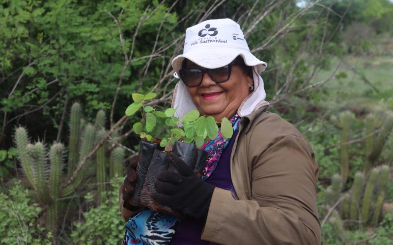 Experiência potiguar de combate à desertificação ganha reconhecimento internacional e será apresentada na COP17 da ONU