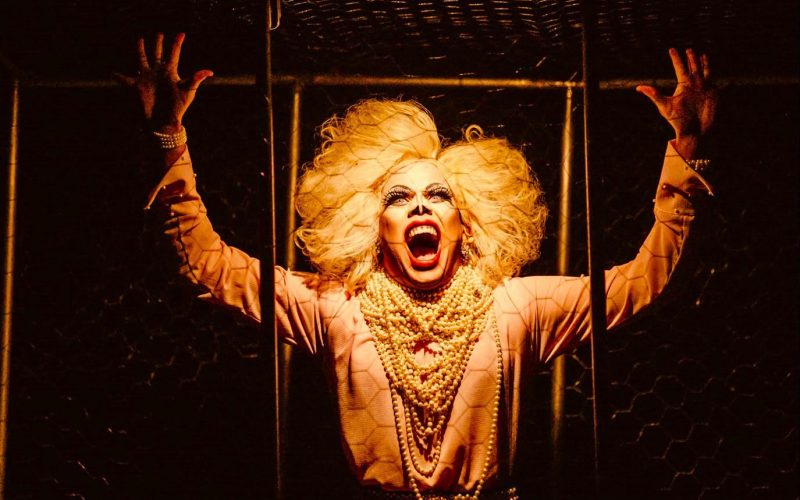 “A Mulher Monstro” celebra 10 anos com apresentações gratuitas em Natal
