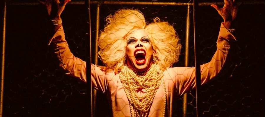 “A Mulher Monstro” celebra 10 anos com apresentações gratuitas em Natal